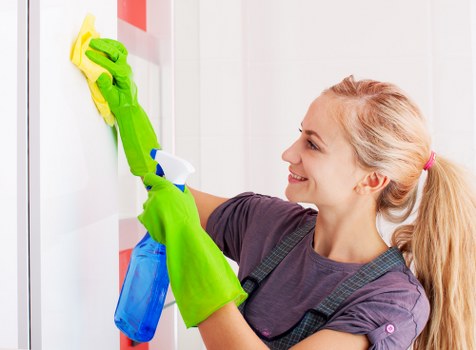 Professional oven cleaning service for SE13 homes