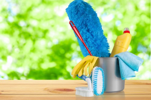 Professional oven cleaning service for homes in SE13