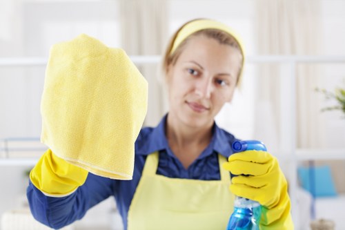 Professional sofa cleaning for homes in SE13