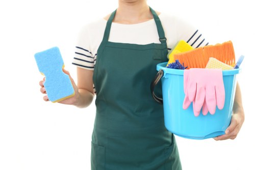 Professional home cleaners serving SE13 properties