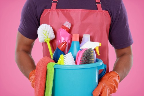 Professional carpet cleaning team working in SE13 home interior