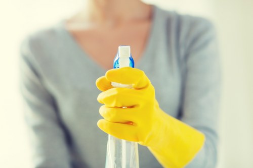 Local cleaners serving homes and businesses in SE13