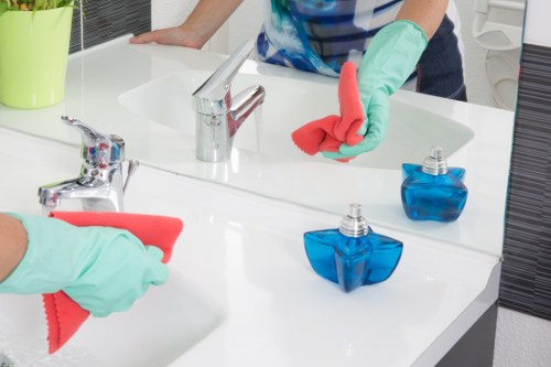 Reviewing details of a carpet cleaning service issue