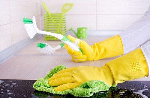 Local cleaners working in a SE13 flat and shared property