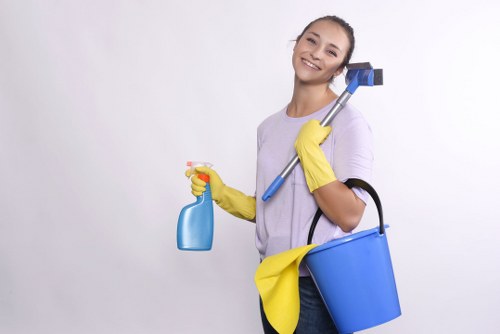 Carpet cleaning equipment in a local SE13 residential property