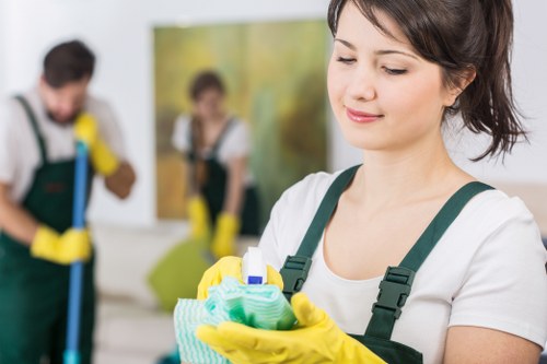 Risk assessment carried out before carpet cleaning begins