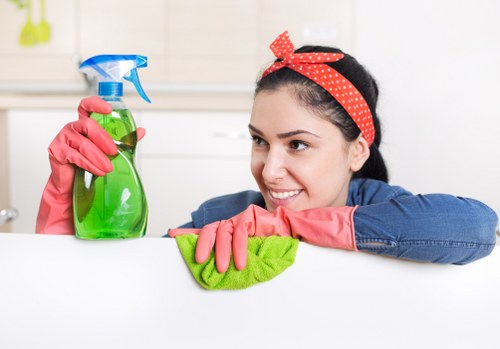 Professional cleaner servicing a business premises in SE13