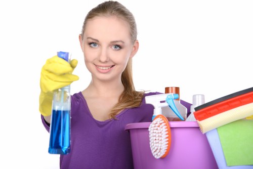 Deep carpet cleaning process for a flat in SE13