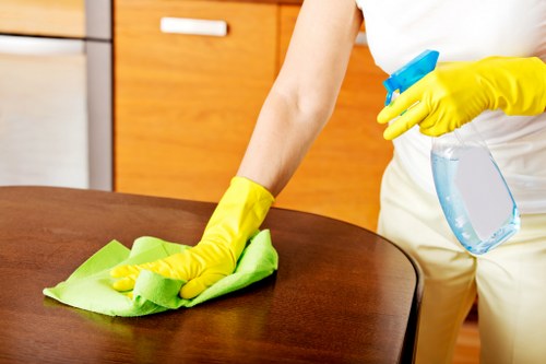 Local carpet cleaner treating stains in a South East London property